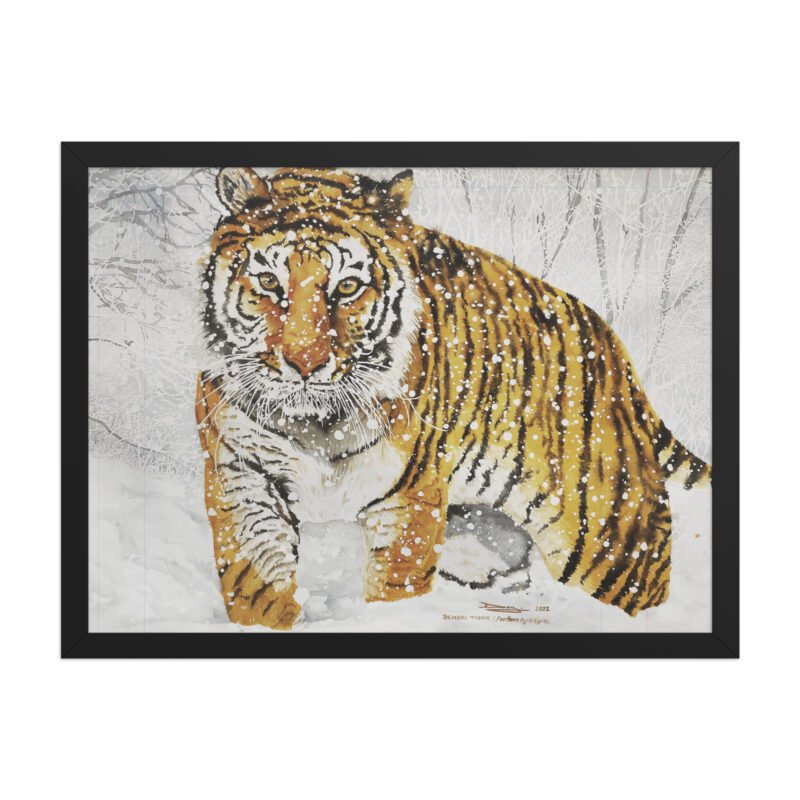 Framed poster, bengal tiger - Image 5