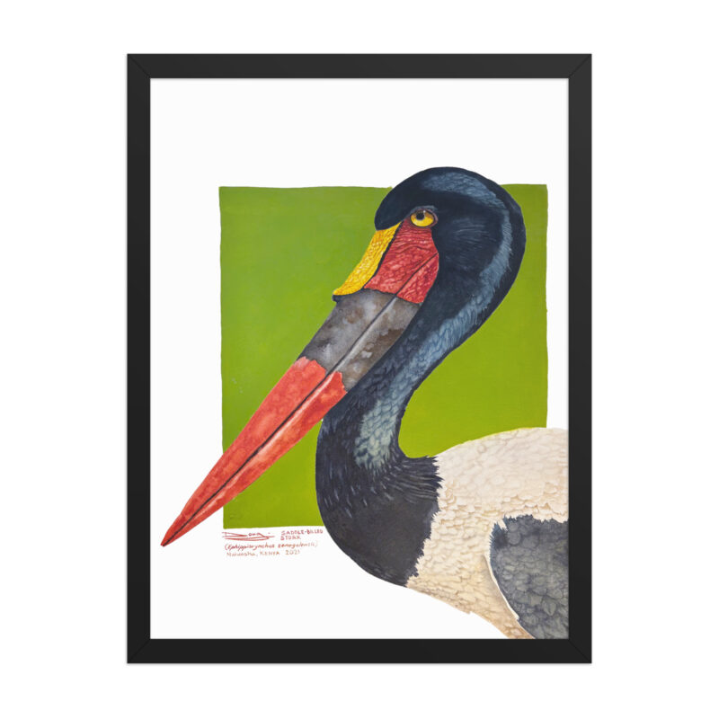 Framed poster, save Lake Naivasha (saddle-billed stork) - Image 8