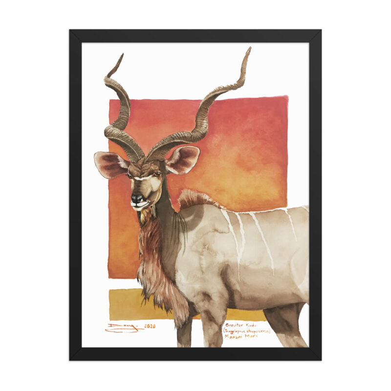Framed poster, save th eKudu - Image 8
