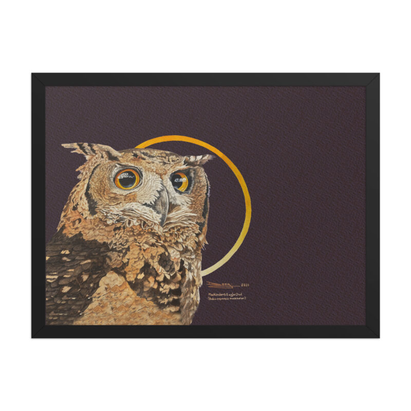 Framed poster, Mackinder's eagle owl - Image 10