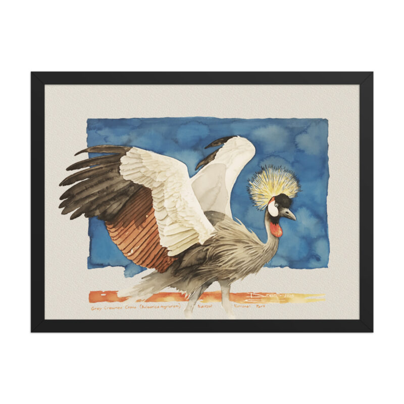 Framed poster Grey-crowned crane - Image 5