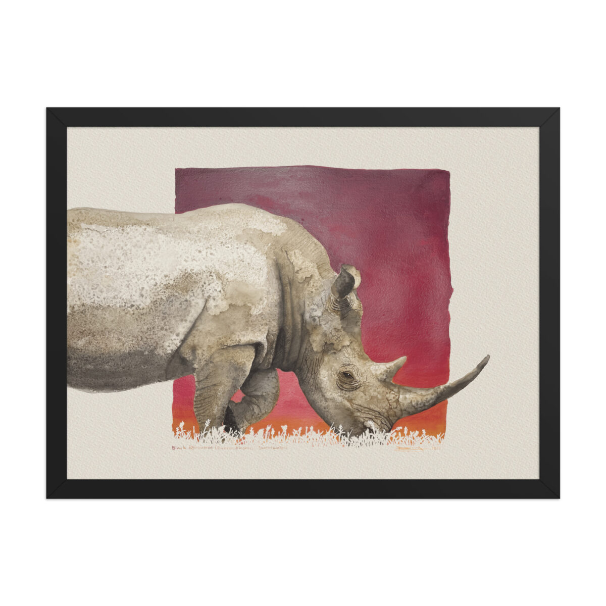 Framed poster, black rhino,Ol Pejeta - Image 5