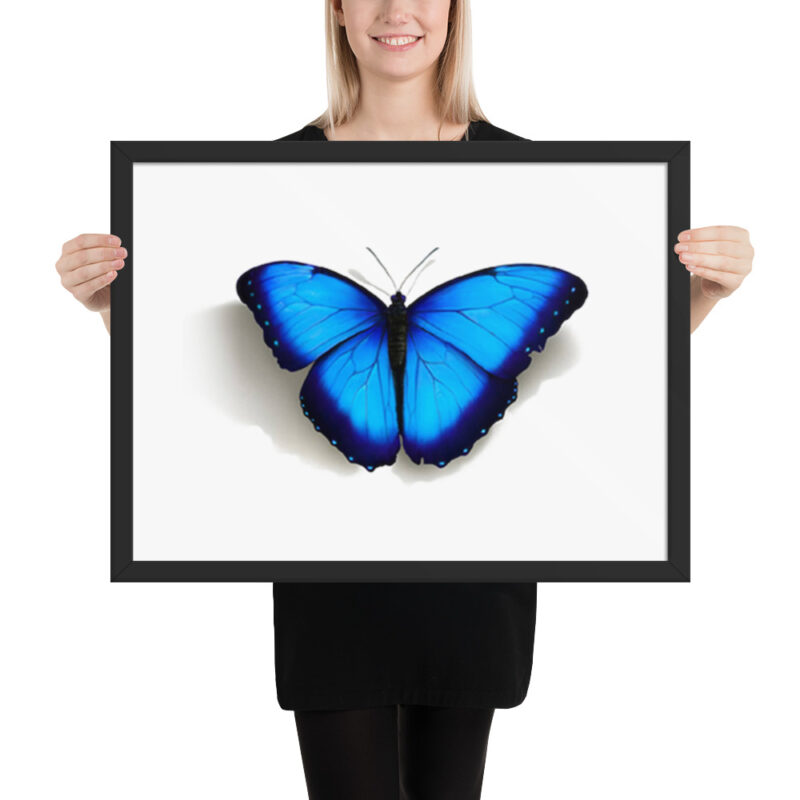 Framed poster, morpho butterfly, (Morpho peleides) - Image 11