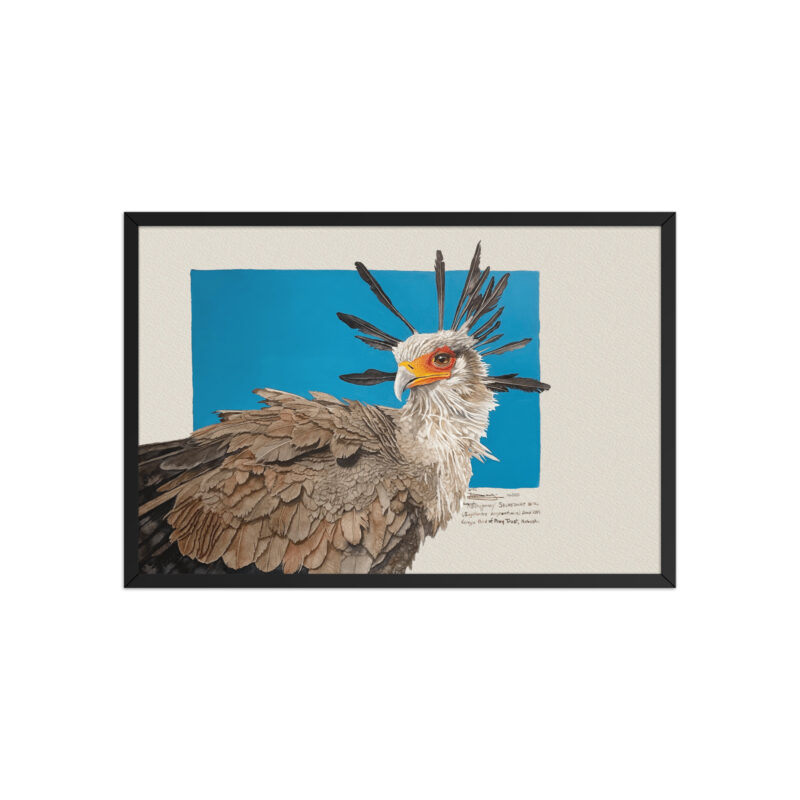 Framed poster, Moneypenny, the secretary bird - Image 6