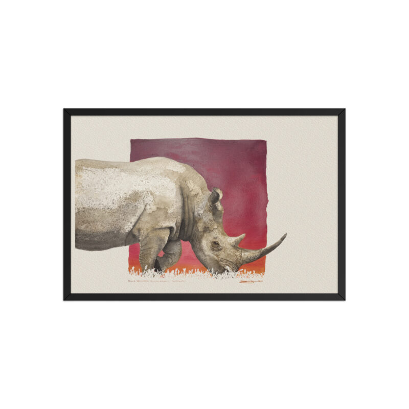 Framed poster, black rhino - Image 6