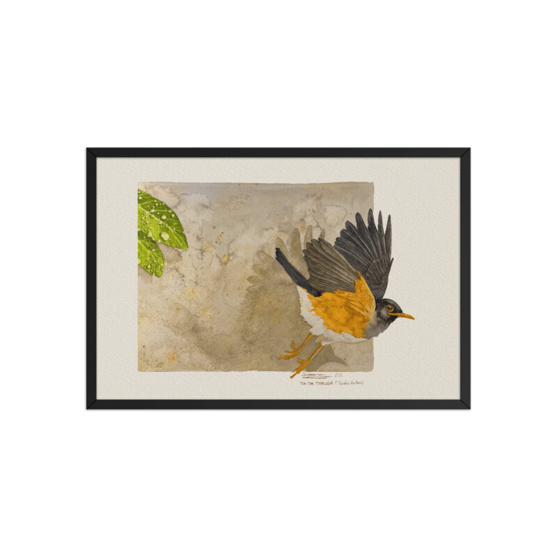 Framed poster - Image 6
