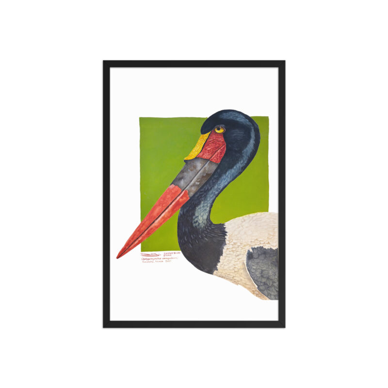 Framed poster, save Lake Naivasha (saddle-billed stork) - Image 9