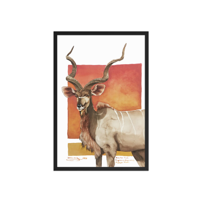 Framed poster, save th eKudu - Image 9