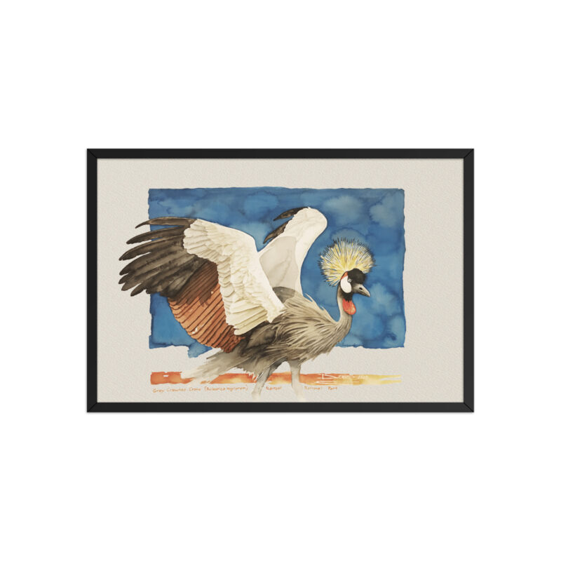 Framed poster Grey-crowned crane - Image 6