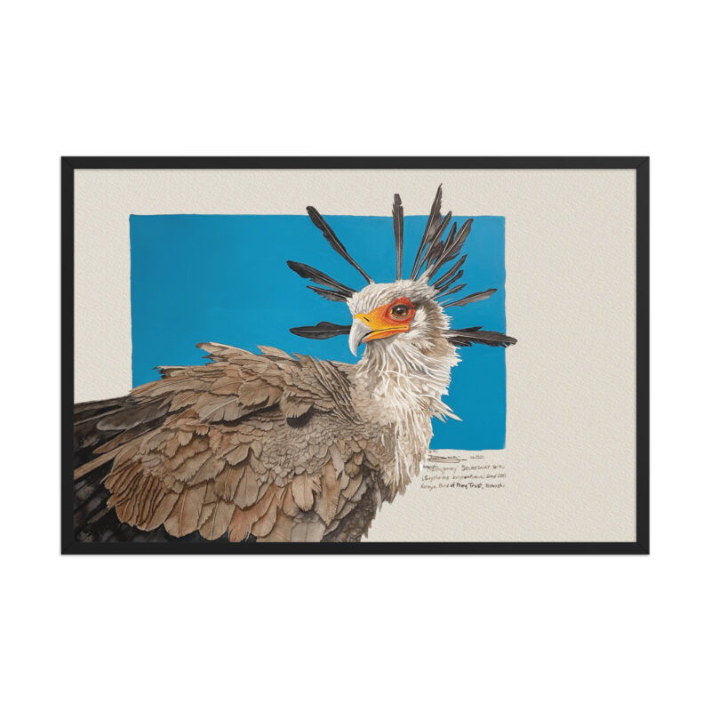 Framed poster, Moneypenny, the secretary bird - Image 7