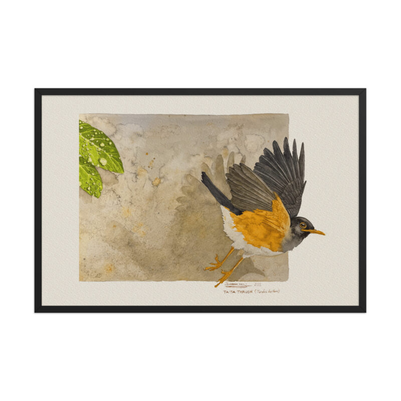 Framed poster - Image 7