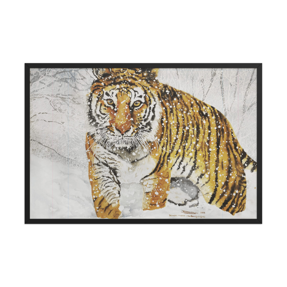 Framed poster, bengal tiger - Image 6
