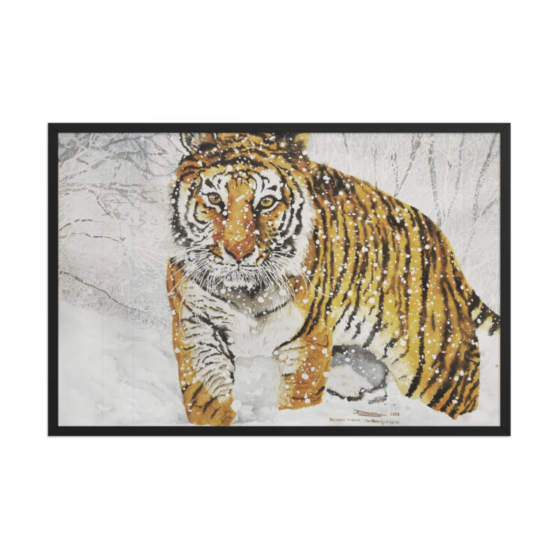 Framed poster, bengal tiger - Image 6