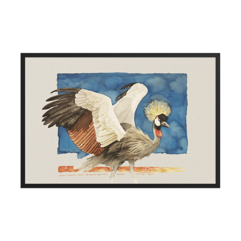 Framed poster Grey-crowned crane - Image 7