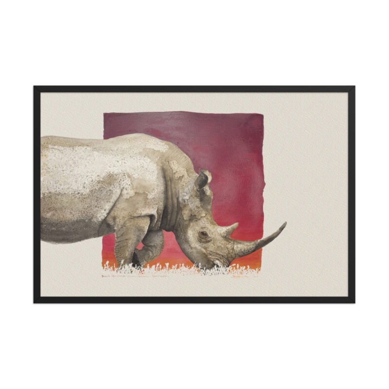 Framed poster, black rhino,Ol Pejeta - Image 7