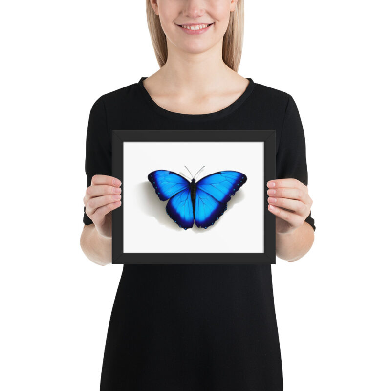 Framed poster, morpho butterfly, (Morpho peleides) - Image 2