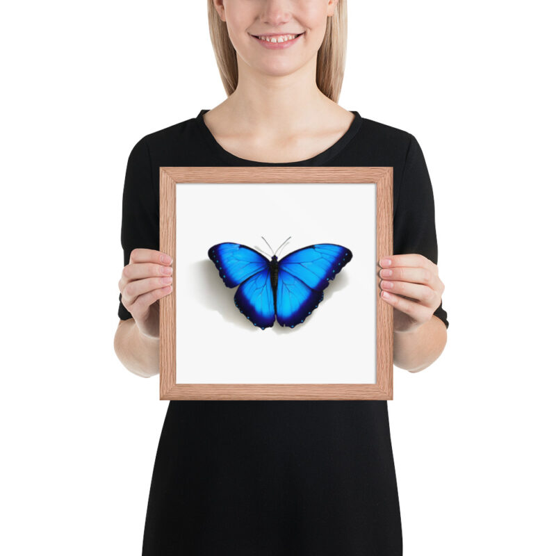 Framed poster, morpho butterfly, (Morpho peleides) - Image 14