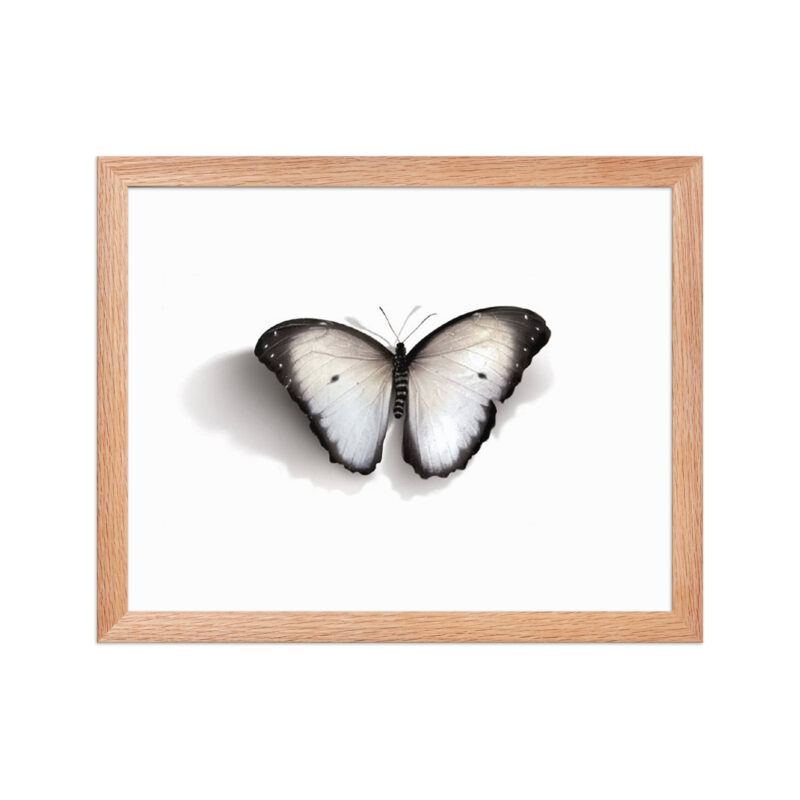 Framed poster - Image 12