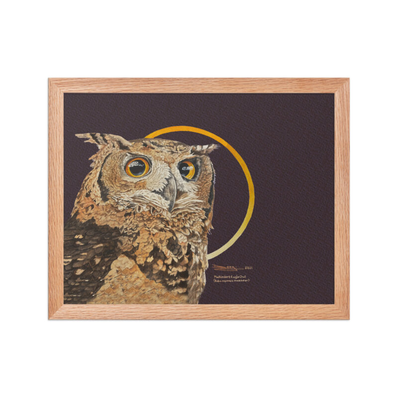 Framed poster, Mackinder's eagle owl - Image 13