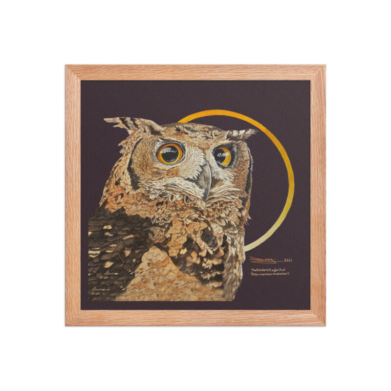 Framed poster - Image 14