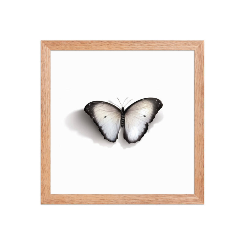 Framed poster - Image 13