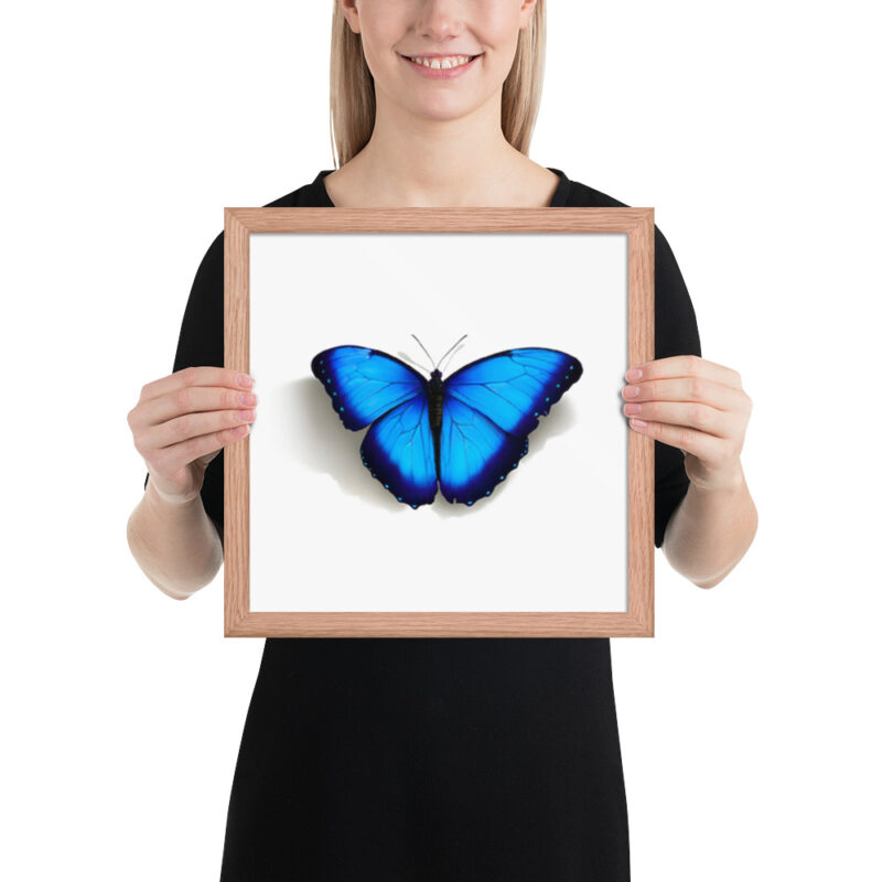 Framed poster, morpho butterfly, (Morpho peleides) - Image 15