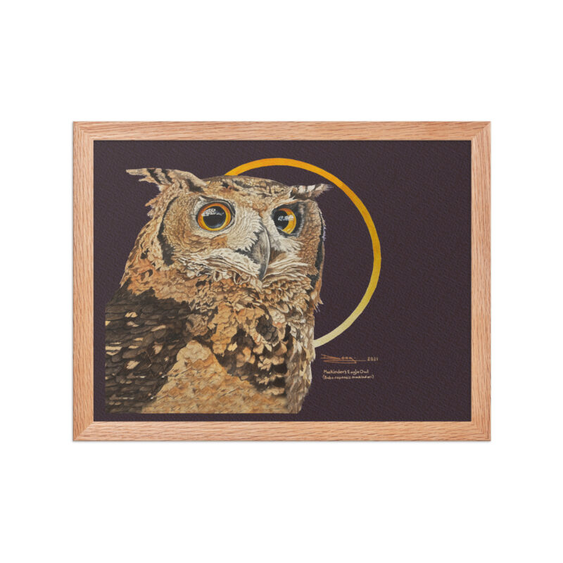 Framed poster - Image 15