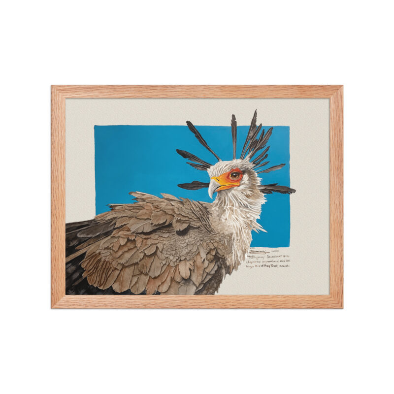 Framed poster, Moneypenny, the secretary bird - Image 8