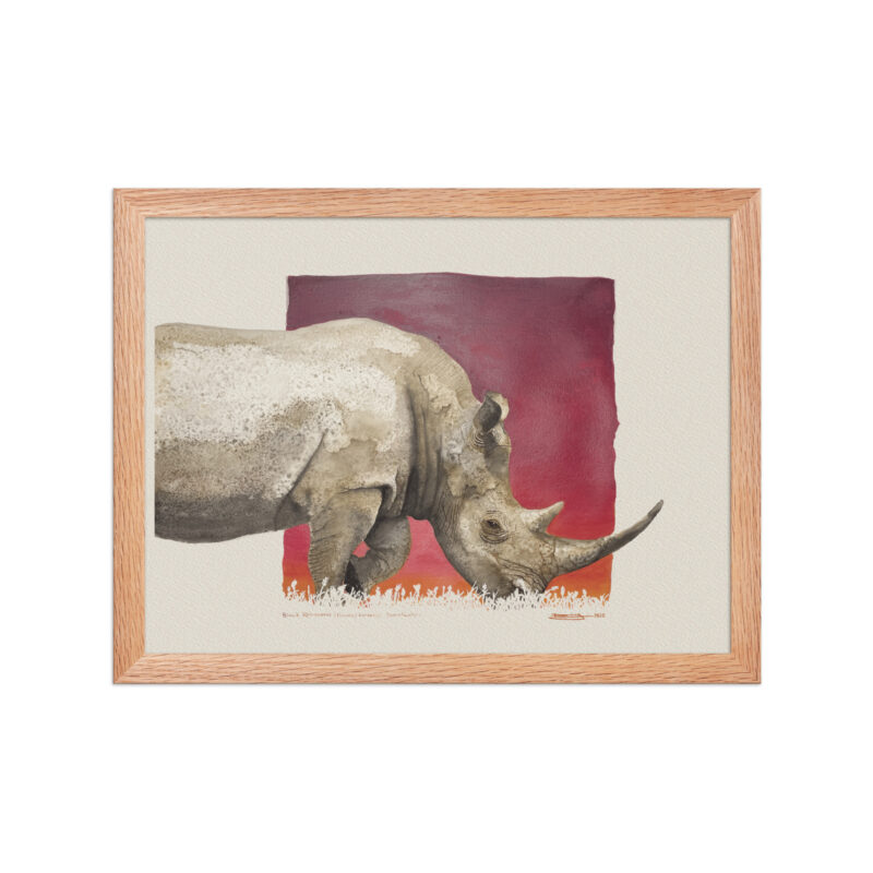Framed poster, black rhino - Image 8