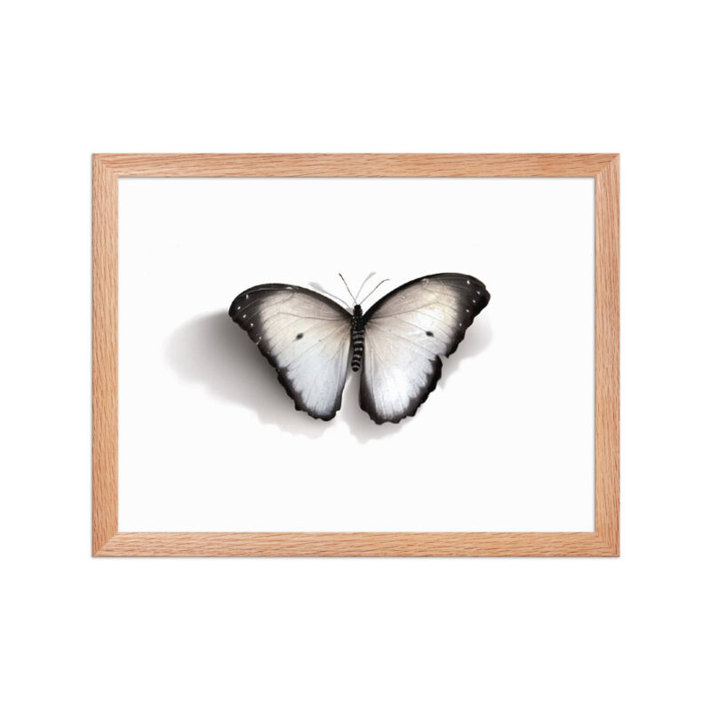 Framed poster - Image 14