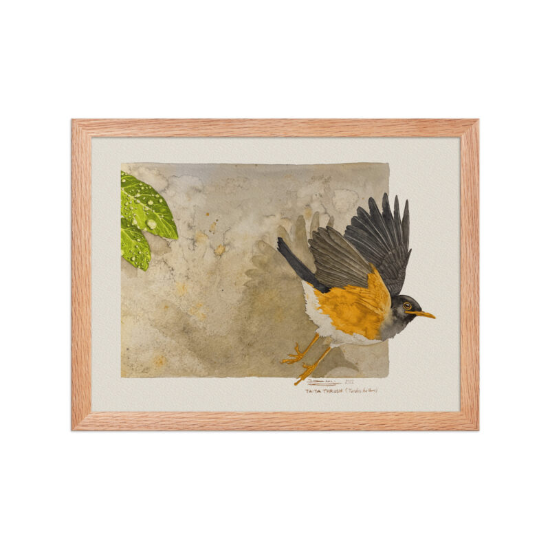 Framed poster - Image 8