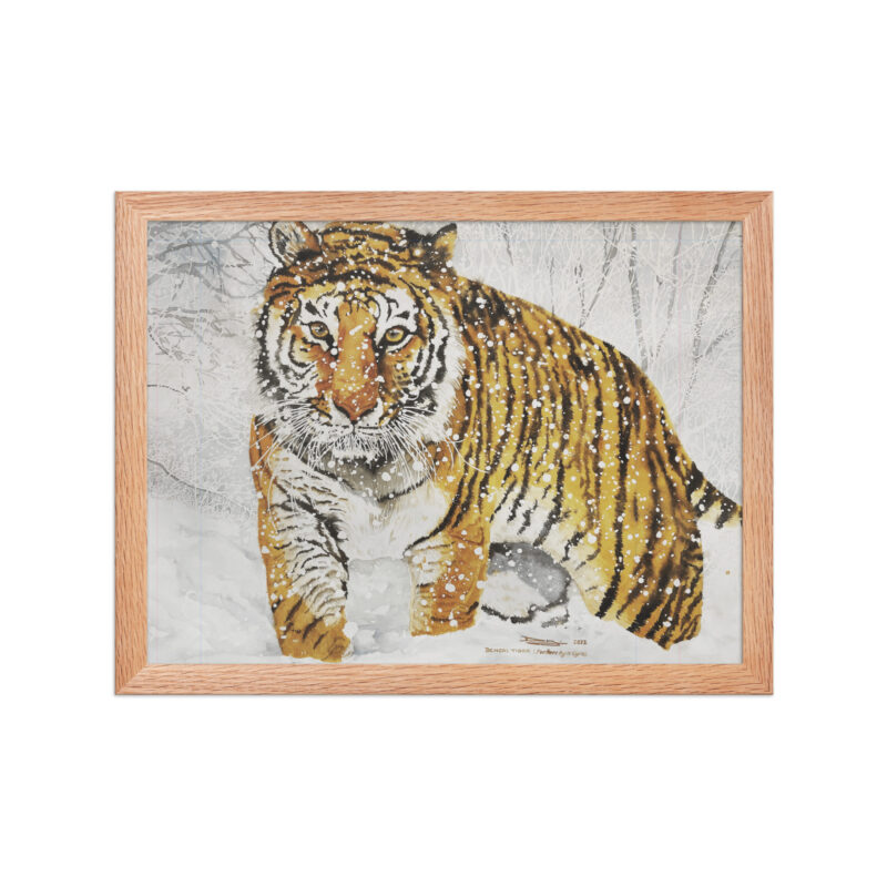 Framed poster, bengal tiger - Image 7
