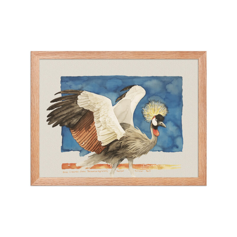 Framed poster Grey-crowned crane - Image 8
