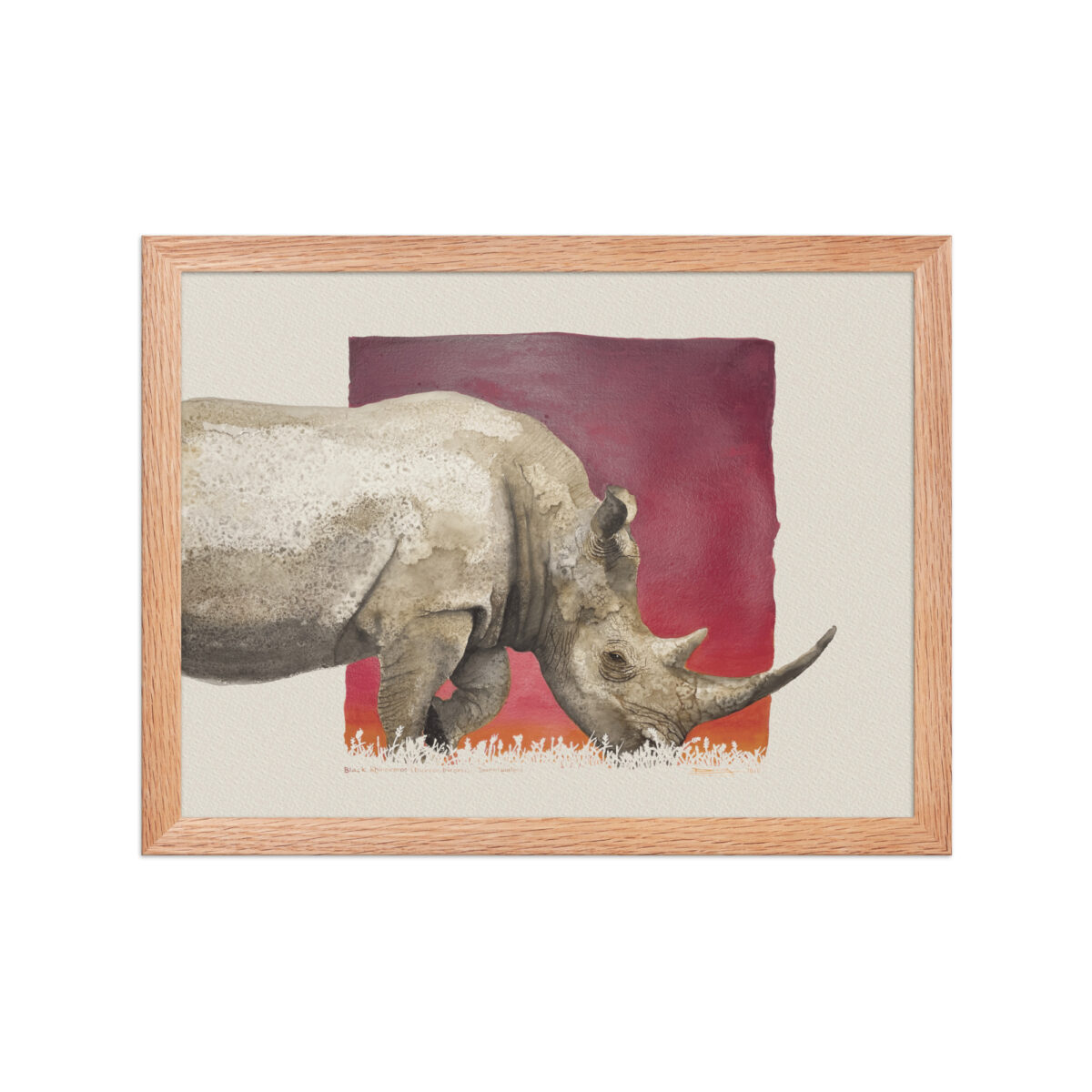Framed poster, black rhino,Ol Pejeta - Image 8