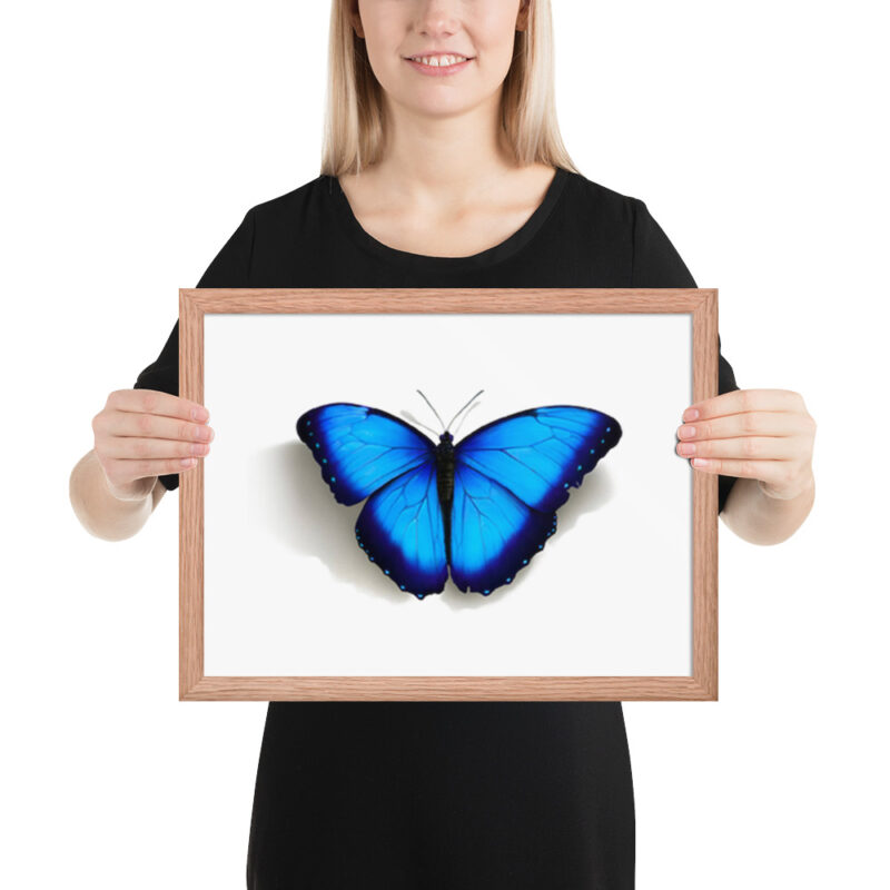 Framed poster, morpho butterfly, (Morpho peleides) - Image 16