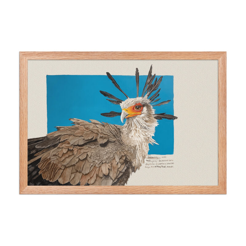 Framed poster, Moneypenny, the secretary bird - Image 9