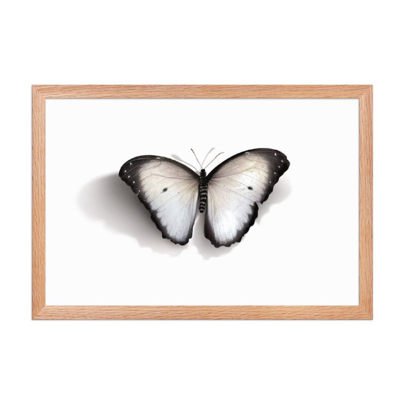 Framed poster - Image 15