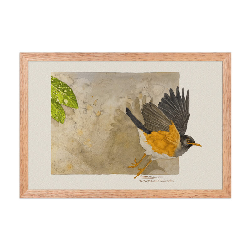 Framed poster - Image 9