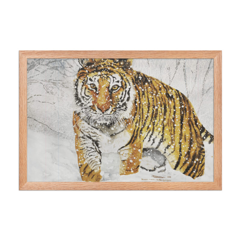 Framed poster, bengal tiger - Image 8