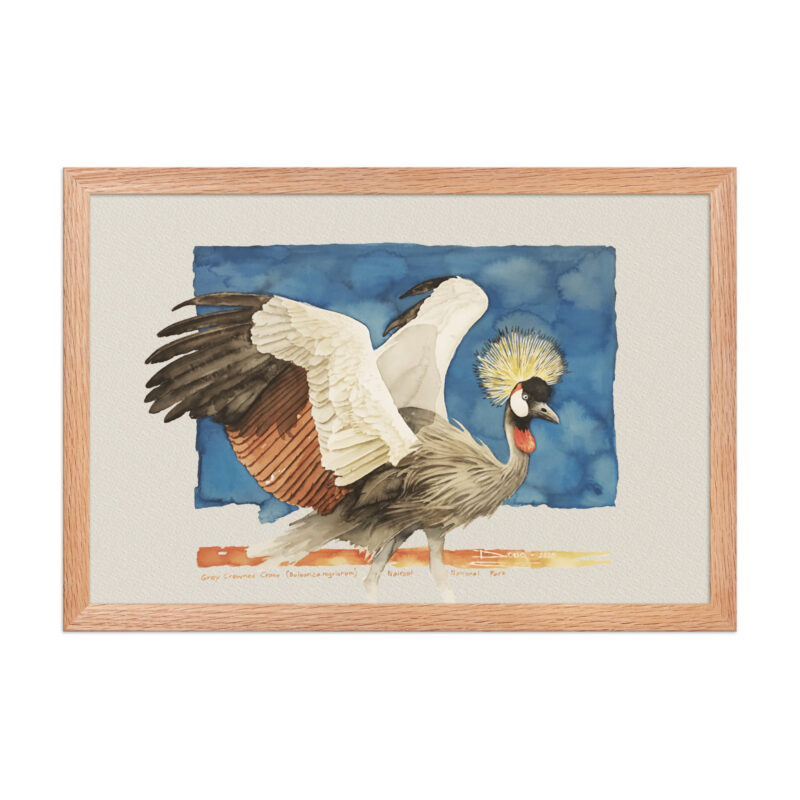 Framed poster Grey-crowned crane - Image 9