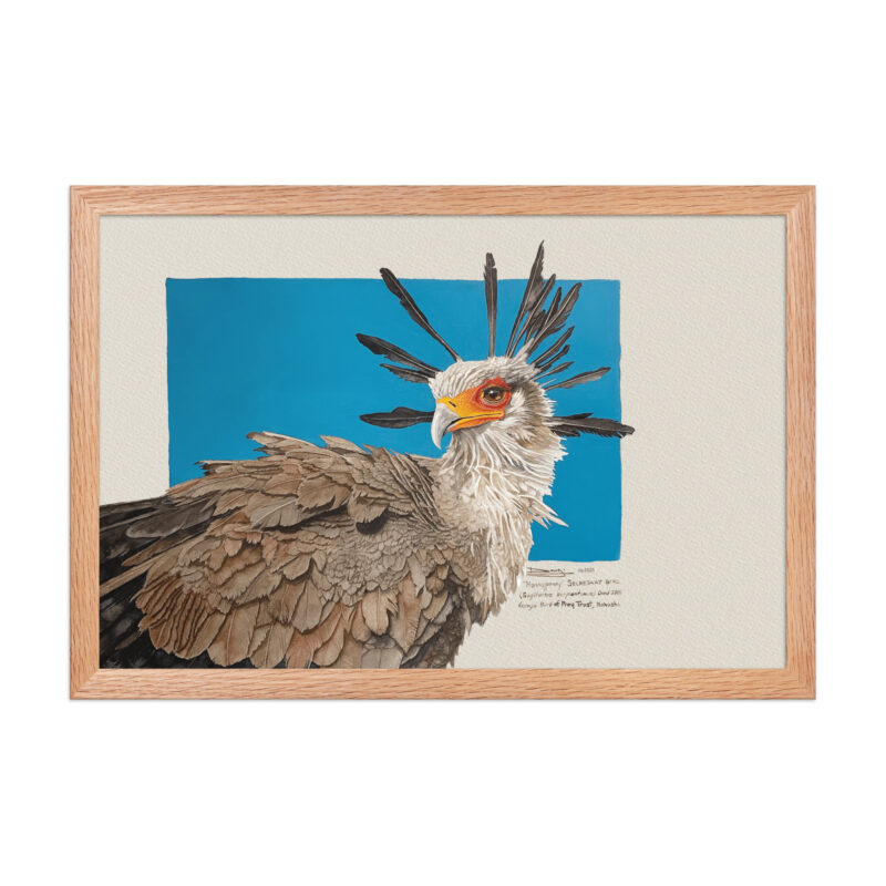 Framed poster, "Moneypenny" the secretary bird - Image 9