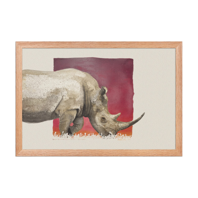 Framed poster, black rhino,Ol Pejeta - Image 9