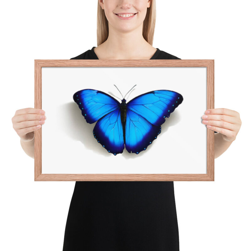 Framed poster, morpho butterfly, (Morpho peleides) - Image 17