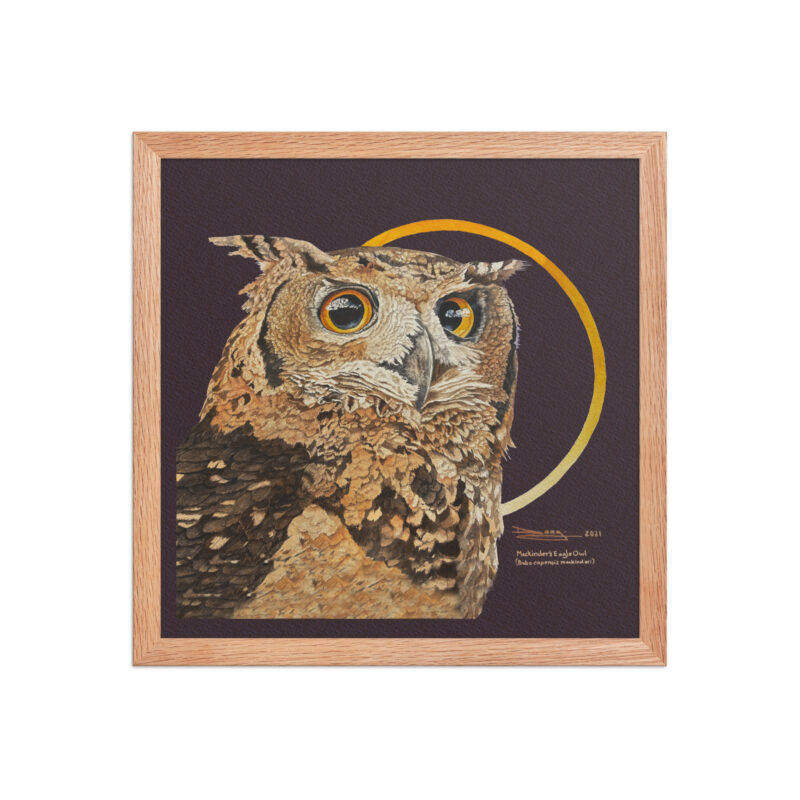 Framed poster - Image 17