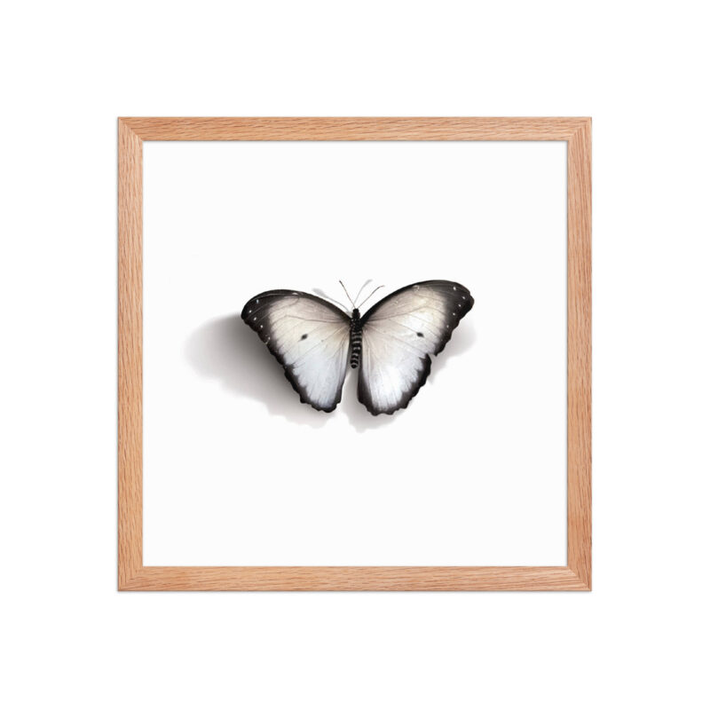 Framed poster - Image 16