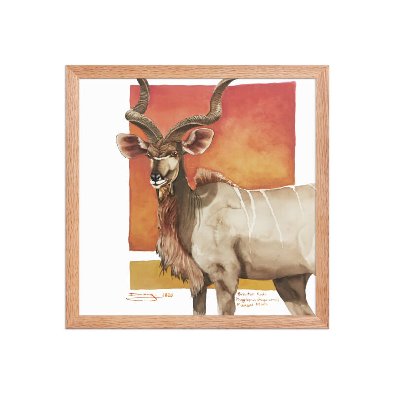 Framed poster, save th eKudu - Image 13