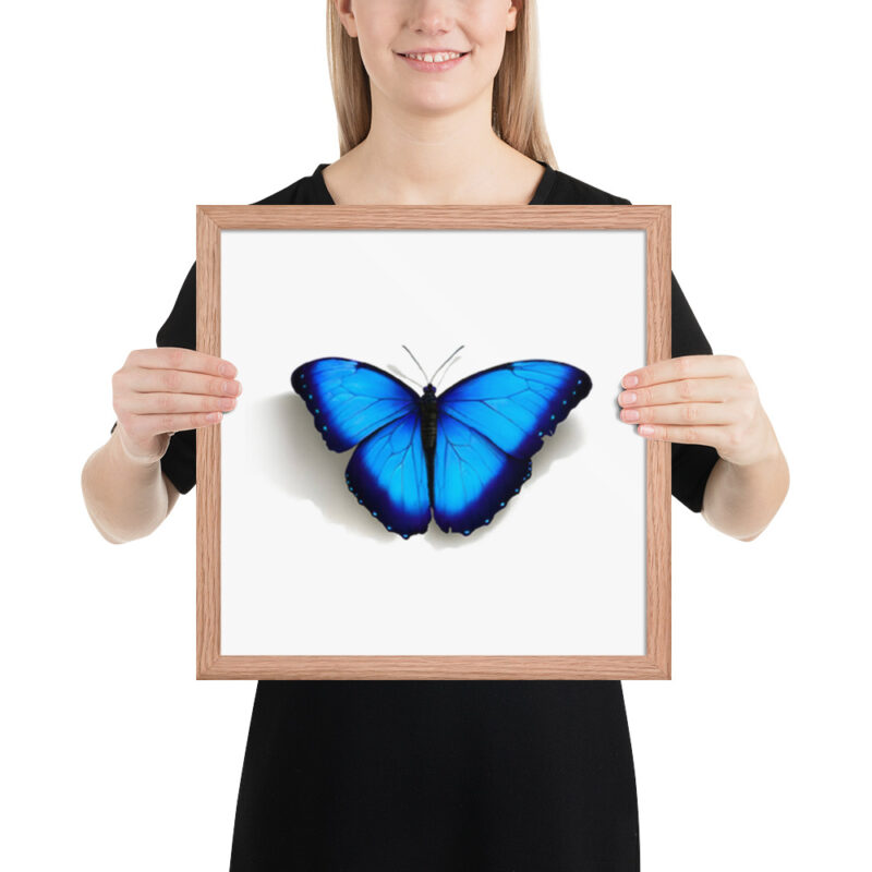 Framed poster, morpho butterfly, (Morpho peleides) - Image 18