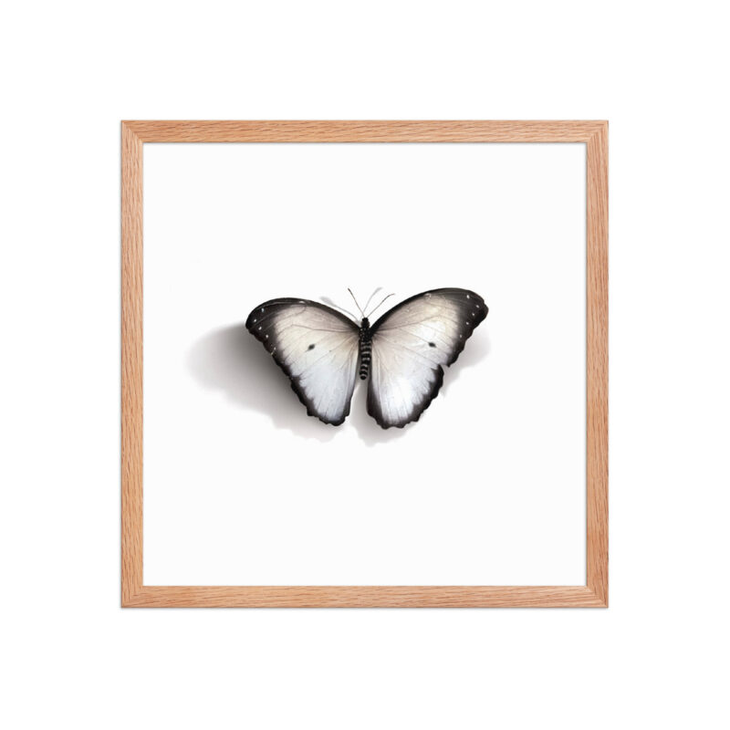Framed poster - Image 17