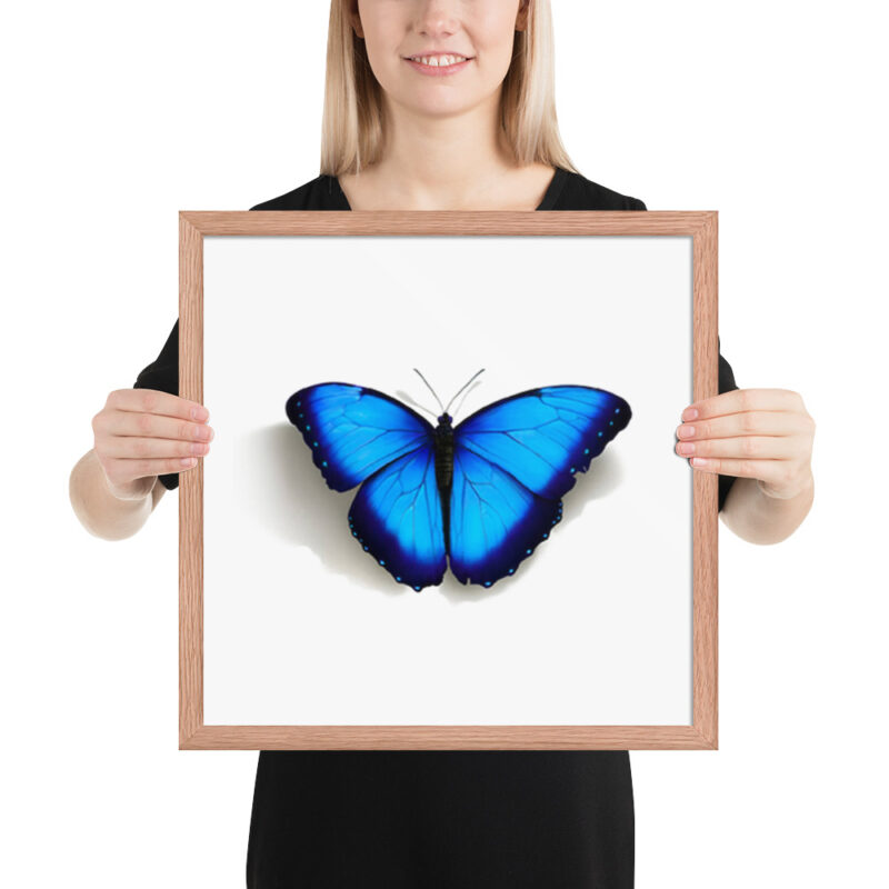 Framed poster, morpho butterfly, (Morpho peleides) - Image 19