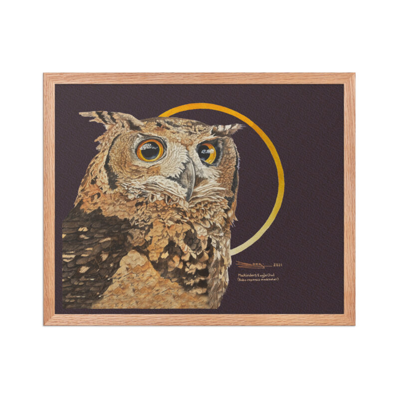 Framed poster - Image 19